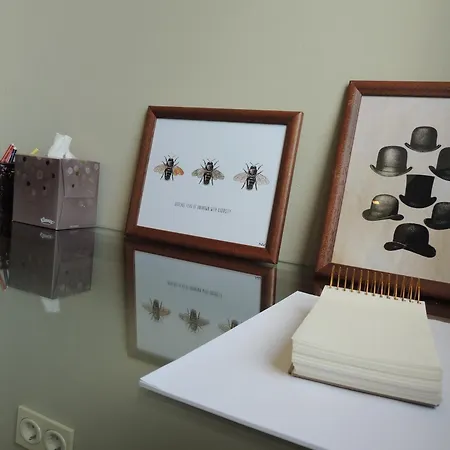 Apartment Casa Elena-zona Catedral-parking Gratis By Delabra